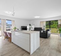 1 255 m² a 9 izieb I Priamo pri prírodnej rezervácii Šúr, len 15 minút - Obývacia izba v rodinnom dome, s podlahou s dreveným dekorom a veľkými oknami.