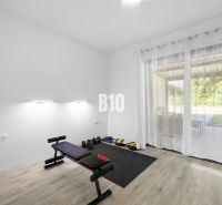 1 255 m² a 9 izieb I Priamo pri prírodnej rezervácii Šúr, len 15 minút - Posilňovňa v rodinnom dome s činkami, lavicou a podlahou s dreveným dekorom.