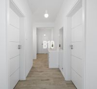 1 255 m² a 9 izieb I Priamo pri prírodnej rezervácii Šúr, len 15 minút - Biela chodba s podlahou s dreveným dekorom v rodinnom dome, vybavená svetlom a zrkadlom.