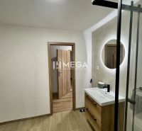 Na prenájom 1-izbový byt s balkónom na Košickej ulici v Humennom - Kúpeľňa v 1-izbovom byte s podlahou s dreveným dekorom a sprchovým kútom.