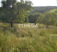 Na predaj dom v krásnom prostredí obce Vyšné Ladičkovce, exkluzívna po - Trávnatý pozemok s ovocnými stromami v Rodinnom dome na ulici Vyšné Ladičkovce, Vyšné Ladičkovce.