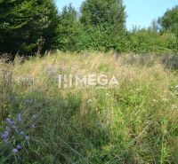 Na predaj dom v krásnom prostredí obce Vyšné Ladičkovce, exkluzívna po - Lúka s divokými kvetmi a trávou obklopuje Vyšné Ladičkovce s výhľadom na lesy.