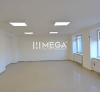Na prenájom - priestor na prízemí 61,50 m2 na ul. Tolstého v meste Hum - Svetlé obchodné priestory s veľkými oknami, dlažba a umelé osvetlenie.