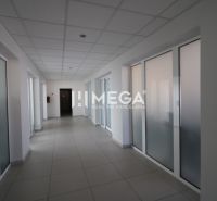 Na prenájom - kancelária na Tolstého ul. v meste Humenné - Chodba v kanceláriách s matným sklom a svetlou dlážkou.