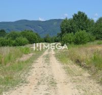 NOVÁ CENA-PREDAJ POZEMKU Zemplínske Hámre (2918 m2) - Vidiecka cesta obklopená zeleňou v Zemplínskych Hámroch, vhodná pre pozemky - bývanie.