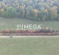 NA PREDAJ - investičný pozemok v obci Jasenov - Pohľad na lúky a lesy v Jasenove na ulici Jasenov, Zvláštne nehnuteľnosti.