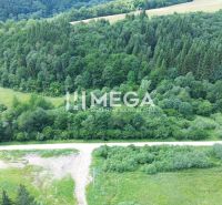 Investičný stavebný pozemok v oblasti Danová - 2 200m2 - Lúky a lesy pri ulici Danová, Medzilaborce, ideálne pre pozemky - bývanie.