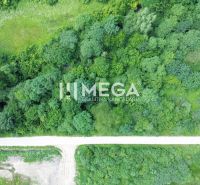 Investičný stavebný pozemok v oblasti Danová - 2 200m2 - Letecký pohľad na zelené pozemky na Danovej ulici v Medzilaborciach vhodné na bývanie.