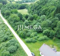 Investičný stavebný pozemok v oblasti Danová - 2 200m2 - Cesta obklopená zeleňou na Danovej ulici v Medzilaborciach, Pozemky - bývanie.