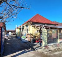 NA PREDAJ  Zabehnutá prevádzka v obci Kamenica nad Cirochou - Obchodné priestory na ulici Osloboditeľov 193, Kamenica nad Cirochou, s tovarom a stromom.