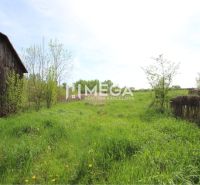 NA PREDAJ: Stavebný pozemok – Senné (okres Michalovce) - Pozemky - bývanie v Sennom, tráva, stromy, drevená stavba na ľavej strane.