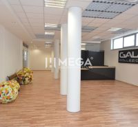 NOVÁ ZNÍŽENÁ CENA NA PRENÁJOM PRIESTOR 108,5 m² v OC Avenue - Obchodné priestory s podlahou s dreveným dekorom, stĺpmi a kvetinovými dekoráciami.