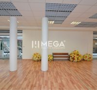 NOVÁ ZNÍŽENÁ CENA NA PRENÁJOM PRIESTOR 108,5 m² v OC Avenue - Obchodné priestory s podlahou s dreveným dekorom, kvetmi a lavičkou.