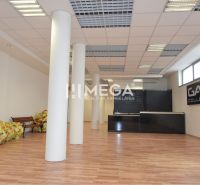 NOVÁ ZNÍŽENÁ CENA NA PRENÁJOM PRIESTOR 108,5 m² v OC Avenue - Obchodné priestory s podlahou s dreveným dekorom a moderným interiérom.