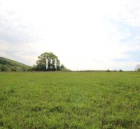 NA PREDAJ POZEMOK V SRDCI PRÍRODY - VYŠNÝ KAZIMÍR 1166 m² - Zeleň lúky a stromy v pozadí, Vyšný Kazimír, pozemky - bývanie.