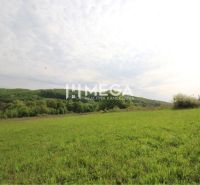 NA PREDAJ POZEMOK V SRDCI PRÍRODY - VYŠNÝ KAZIMÍR 1166 m² - Pozemky - bývanie v okolí Vyšného Kazimíra, zelená lúka s lesným pozadím pod zamračeným nebom.