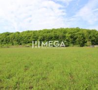 NA PREDAJ POZEMOK V LONE PRÍRODY - VYŠNÝ KAZIMÍR 1196 m² - Rozsiahly zelený pozemok vo Vyšnom Kazimíri, ideálny pre účely bývania.