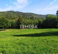 NA PREDAJ POZEMKY - k.ú. BRESTOV NAD LABORCOM SPOLU 8200 m² - Poľnohospodárske a lesné pozemky v Brestove nad Laborcom, obklopené sviežimi kopcami a lesmi.