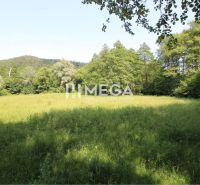 NA PREDAJ POZEMKY NA MIERU už od 1000 m²  - obec PTIČIE - Zeleň, stromy a lúka na pozemkoch v Ptičom vhodných na bývanie.