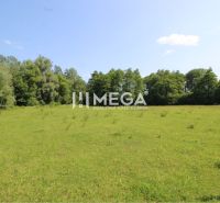 NA PREDAJ POZEMKY NA MIERU už od 1000 m²  - obec PTIČIE - Pozemky - bývanie v Ptičí: zelená lúka obklopená stromami, jasná obloha.