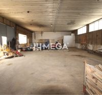 FLEXIBILNÝ PRENÁJOM HALY V HUMENNOM – od 600€ až 300 m² - Sklady a haly s náradím a vozidlom, betónová podlaha.