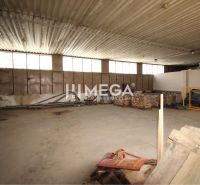 FLEXIBILNÝ PRENÁJOM HALY V HUMENNOM – od 600€ až 300 m² - Priestranné sklady a haly s kovovou strechou a surovými stenami.