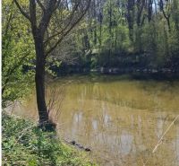 PREDAJ - Záhradná chata na Devínskej ceste  - Rieka obklopená zeleňou a stromami v záhradách na Devínskej ceste, Bratislava - Devínska Nová Ves.