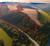 Rokycany – 125.140 m2 LESNÝ POZEMOK v podiele 1/1 - Poľnohospodárske a lesné pozemky v okolí Rokycian, mierne členitý terén so zeleňou a cestou.