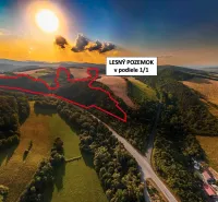 Rokycany – 125.140 m2 LESNÝ POZEMOK v podiele 1/1 - Letecký pohľad na poľnohospodárske a lesné pozemky pri Rokycanoch so západom slnka.