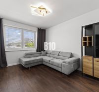 Moderný 4i dom v RED OAK, Lužianky | Kompletné zariadenie! - Obývacia izba s rohovou sedačkou, podlaha s dreveným dekorom, skrinka.