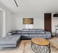 Moderný 4i dom v RED OAK, Lužianky | Kompletné zariadenie! - Sivá sedacia súprava, okrúhly stolík a obraz v obývacej izbe rodinného domu.