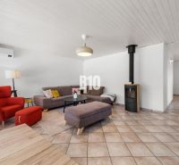4i rodinný dom Lehota | 230 m² | Bazén | 85 m² garáž | 5 min. od Nitry - Obývacia izba v rodinnom dome s krbom, červeným kreslom a šedou sedačkou.