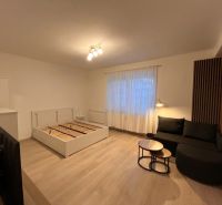 Pekný prenájom 1 izbový byt, Trenčianska ulica, Bratislava II Ružinov  - Interiér 1-izbového bytu s podlahou s dreveným dekorom, pohovkou a posteľou.