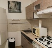 2-izb. byt na ul. Bodrocká, Podunajské Biskupice - Kuchyňa v 2-izbovom byte s mikrovlnkou, chladničkou a umývadlom pod obrazom.