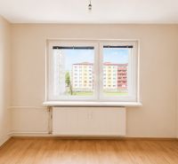 Predaj! slnečný 3-izbový byt s loggiou 74 m² Podbreziny - LM - Interiér 3-izbového bytu s podlahou s dreveným dekorom a veľkými oknami.