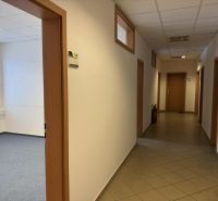 Kancelárske, obchodné a skladové priestory od 14m2 do 500m2 v areáli. - Chodba v skladoch a halách s dverami, oknom a dlaždicovou podlahou.