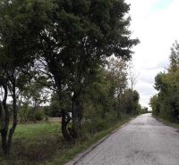 Pozemok v rekreačnej oblasti. Kučišdorfská dolina - Vidíme cesty obklopené stromami na ulici Kučišdorfská dolina a Rekreačné pozemky.