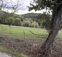 Pozemok v rekreačnej oblasti. Kučišdorfská dolina - Na obrázku sú zelené Rekreačné pozemky a stromy na ulici Kučišdorfská dolina.
