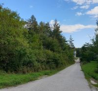 Hľadáte pôdu, les alebo lúku v okrese Pezinok? Budmerice - Asfaltová cesta obkolesená zeleňou vedie cez lesné a poľnohospodárske pozemky pod modrou oblohou.