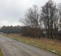 Hľadáte pôdu, les alebo lúku v okrese Pezinok? Budmerice - Cesta vedľa poľnohospodárskych a lesných pozemkov s autom a stromami na horizonte, pochmúrne počasie.