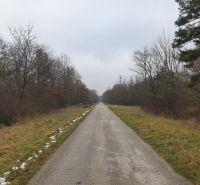 Hľadáte pôdu, les alebo lúku v okrese Pezinok? Budmerice - Vidiecka cesta prechádza poľnohospodárskymi a lesnými pozemkami, lemovaná holými stromami.