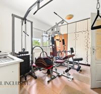  Na predaj 5-izb. poschod. rodinný dom, Bodza - Fitness zariadenie v Rodinnom dome s posilňovacími strojmi a umývadlom.