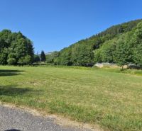 Ponúkame pozemky, od 1000m2, pôdu a les, spolu viac ako 4ha. - Zelená lúka na poľnohospodárskych a lesných pozemkoch v Hornom Tisovníku obklopená stromami a cestou.