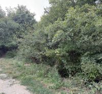 Nová cena ! Stavebný pozemok pre investíciu alebo rekreáciu.  - Prírodný pozemok s hustým porastom a lesnou cestou na Frankovskej ulici, Bratislava - Vinohrady.
