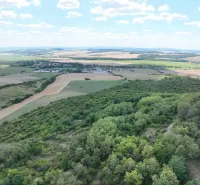 Behynce – 5.439 m2 LESNÝ pozemok v podiele 1/1 – Predaj - Letecký pohľad na poľnohospodárske a lesné pozemky v okolí Tornale.