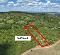 Behynce – 5.439 m2 LESNÝ pozemok v podiele 1/1 – Predaj - Poľnohospodárske a lesné pozemky v Tornali obklopené hustými lesmi a zeleňou.
