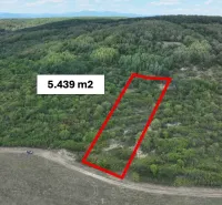Behynce – 5.439 m2 LESNÝ pozemok v podiele 1/1 – Predaj - Poľnohospodárske a lesné pozemky v Tornaľi s výmerou 5 439 m², obklopené zeleňou.