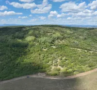 Behynce – 5.439 m2 LESNÝ pozemok v podiele 1/1 – Predaj - Zalesnené poľnohospodárske a lesné pozemky v okolí Tornale pod modrou oblohou.