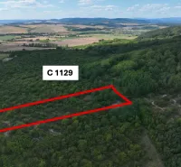 Behynce – 5.439 m2 LESNÝ pozemok v podiele 1/1 – Predaj - Poľnohospodárske a lesné pozemky v Tornali s vyznačeným územím a malebným okolím.