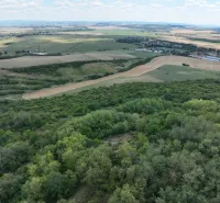 Behynce – 5.439 m2 LESNÝ pozemok v podiele 1/1 – Predaj - Poľnohospodárske a lesné pozemky v Tornali s panoramatickým výhľadom na okolitú krajinu.